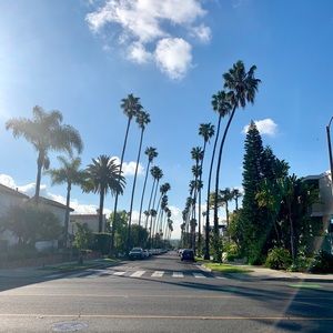 Meet your Posher, Mia